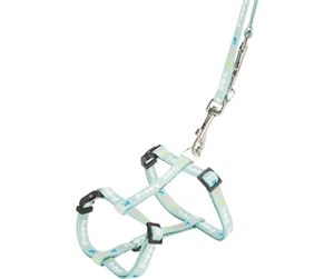 Hund - Trixie Junior Puppy H-Harness with Lead M-L: 27-45cm/10mm 2m. mint - TX15355