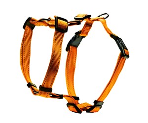 Hund - Dogman H-sele Iris orange 10mm - 213024