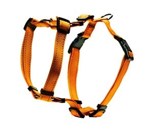 Hund - Dogman H-sele Iris orange 20mm - 213026