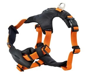 Hund - Dogman Sportsele Emmi orange XL - 213707