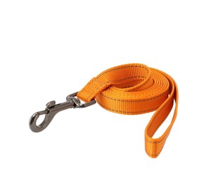 Hund - Dogman Kobbel Iris orange 10mm - 223124