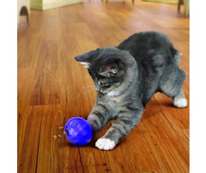 Katt - KONG Cat Treat Dispensing Ball 7.5cm - 340335