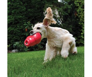 Hund - KONG Dog Toy Bounzer Medium 15cm - 340374