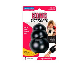 Hund - KONG Kong Medium Svart - 340455