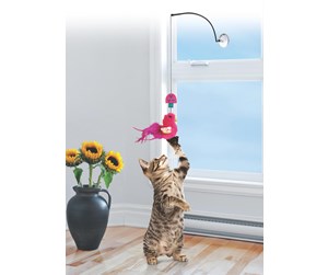 Katt - KONG Cat Toy Connects Window Teaser Assorted Colors - 340540