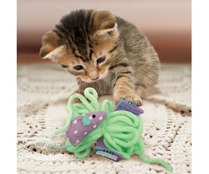 Katt - KONG Cat Toy Pull-A-Partz Yarnz - 341106