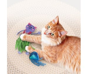 Katt - KONG Cat Toy Tropics Hula 2-pk - 341133