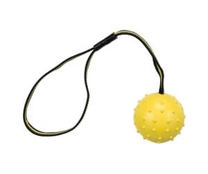 Hund - Trixie Ball on a Strap ø 6 cm/35 cm assorted colours - TX32820