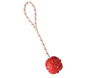 Hund - Trixie Ball on Rope ø 4.5/35 cm assorted colours - TX33481