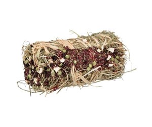 Smådyr - Trixie Hay Bale with Beetroot and Parsnip ø 10 × 18 cm 200g - TX60795