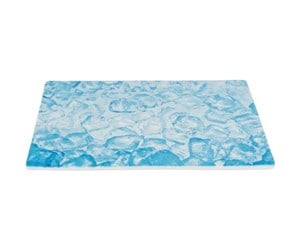 Smådyr - Trixie Cooling Plate 35x25 cm blue - TX63012