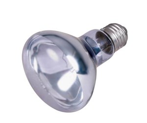 Reptiler - Trixie Neodymium Basking Spot-Lamp 100W R80 E27 - TX76008