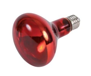 Reptiler - Trixie Infrared Heat Spot Lamp 150W R95 E27 - TX76098