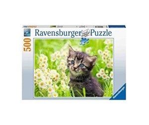 Puslespill - Ravensburger Kitten In The Meadow 500p - 10217378