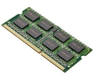 RAM - PNY - DDR3L - module - 8 GB - SO-DIMM 204-pin - 1600 MHz / PC3L-12800 - unbuffered - SOD8GBN12800/3L-SB