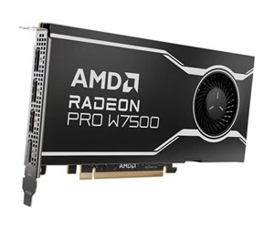 Grafikkort - AMD Radeon Pro W7500 - 8GB GDDR6 RAM - Grafikkort - 100-300000078