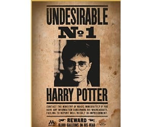 Puslespill - Thumbs Up! Harry Potter "Wanted No. 1" Puzzle - 8435450255397