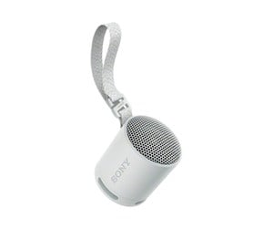 Bærbare festhøyttalere - Sony SRS-XB100 - speaker - for portable use - wireless - SRSXB100H.CE7