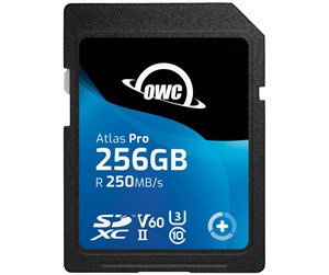 Minnekort - OWC Atlas Pro 256GB - OWCSDV60P0256