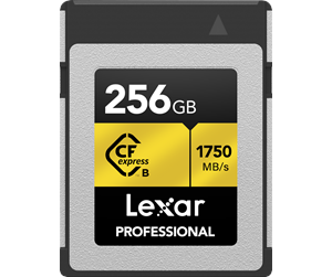 Minnekort - Lexar Professional Gold CFexpress Type B - 1750MB/s - 256GB - LCXEXPR256G-RNENG