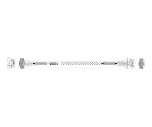 Strømkabel (intern) - Lenovo - power cable - 12VHPWR to 12VHPWR - 23.5 cm - 4X97A84510