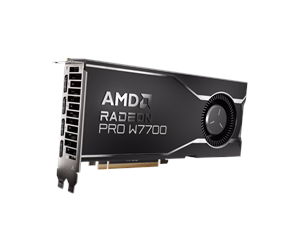 Grafikkort - AMD Radeon Pro W7700 - 16GB GDDR6 RAM - Grafikkort - 100-300000006