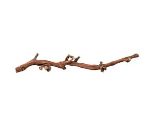 Fugl - Trixie Grape Vine water-blasted for birds and small animals 40-55cm - TX76170