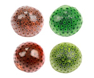 Små gaver til barn - Toi-Toys Squeeze Ball Alien Egg with Water Beads (Assorted) - 35263Z