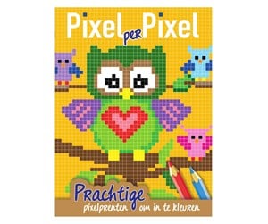 Kreative leker - Mondikaarten Pixel Coloring Book Owls - 9789088201233