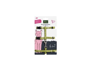 Katt - Hunter dBy Laura Cat harness with line - Lime - 65953