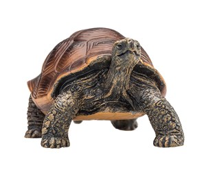 Leketøy - Mojo Wildlife Giant Tortoise - 387259 - 387259