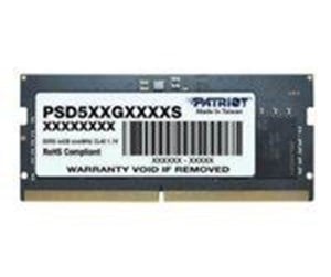 RAM - Patriot Signature Line - PSD516G560081S