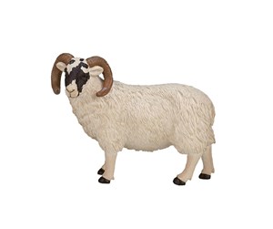 Leketøy - Mojo Farmland Black Head Sheep Ram - 387081 - 387081