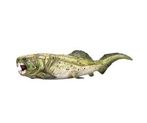 Leketøy - Mojo Prehistory Dunkleosteus - 387374 - 387374