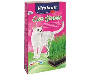 Katt - Vitakraft - Mix 3 for 108 - Cat Grass in Tray 120g - 24031