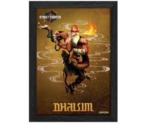 Reklameartikler - Pixel Frames - PLAX Street Fighter 6: Dhalsim - Bilde - 849172015364