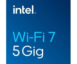 Nettverksadapter - Intel BE202 Wi-Fi 7 2x2 + BT 5.4 / M.2 2230 / With vPro - BE202.NGWG.NV / 99C9ZG