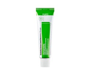 Ansiktspleie - Purito SEOUL - Centella Green Level Recovery Cream - 8809563100095