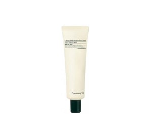 Ansiktspleie - Pyunkang Yul - Calming Madecassoside Spot Cream - 8809486682753