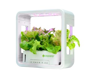 Smarthus - GrowGreen SmartPot aspara by  Stylist Lite Smart Grower - GS1004EU