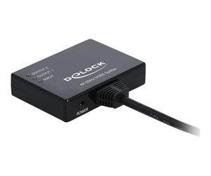 Videosplitter - DeLOCK - video/audio splitter - 2 ports - 87747