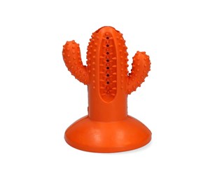 Hund - AFP - Dental Cactus Medium Orange 12.3 cm - (H04197) - AFPH04197