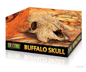 Reptiler - EXO TERRA - Cave Buffalo Skull  - (222.2057) - 222.2057