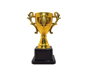 Leketøy - Pocket Money Trophy 14cm - 500027