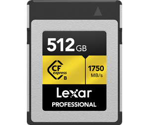 Minnekort - Lexar Professional Gold CFexpress Type B - 1750MB/s - 512GB - LCXEXPR512G-RNENG