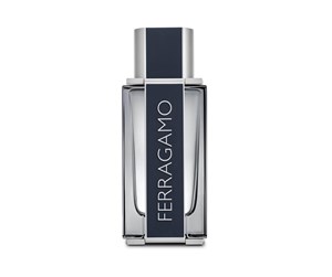 Parfyme & Dufter - Salvatore Ferragamo Ferragamo EDT 100 ml - 8052086377974