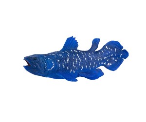 Figurer - Mojo Sealife Coelacanth - 381050 - 381050