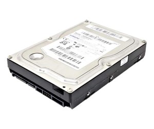 Harddisk - Lenovo - Hard Drive - 500 GB - SATA 3Gb/s - 500GB - Harddisk - 45K0629 - SATA-300 - 45K0629