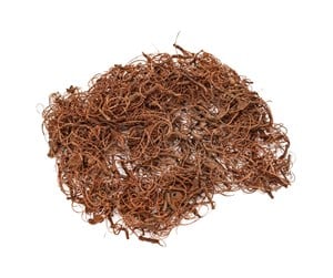 Arts & Crafts - Tilbehør - Colorations - Curly Moss 50 grams - 38WD02