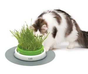 Katt - Catit Senses 2.0 Grass Planter 24x24x13cm - H43161